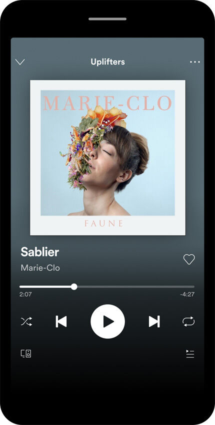 Spotify subscription